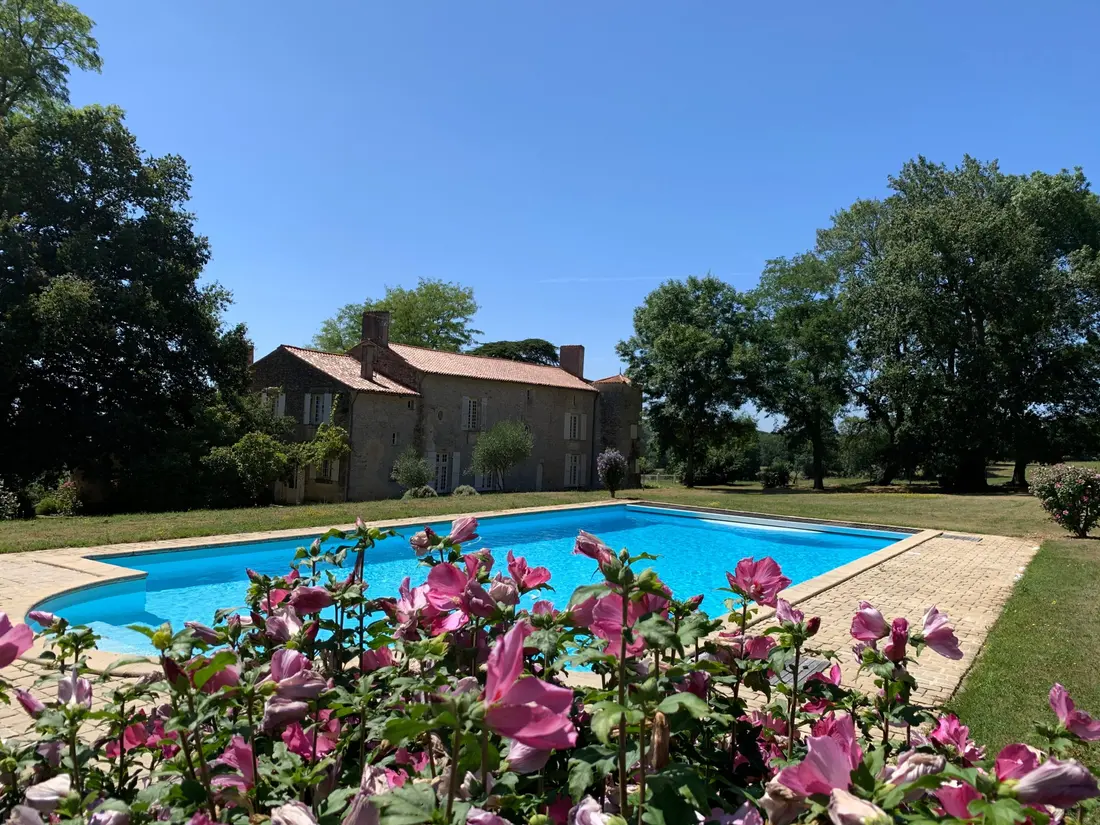 La piscine et ses fleurs roses